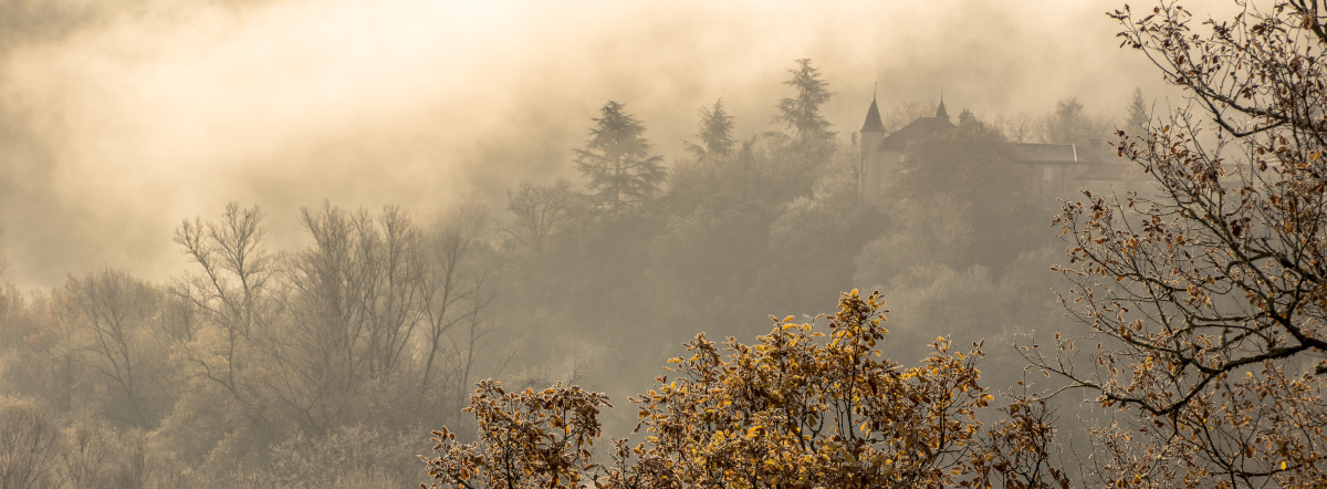 energeticien-cahors-denis-delcros-champ-soin-energetique